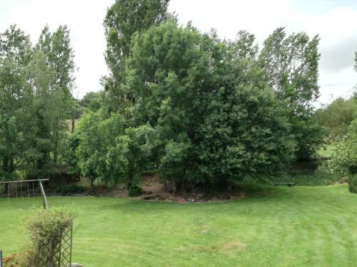 Bed & Breakfast La Traineli�re
