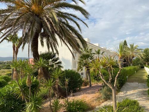 Apartamento Casa Del Mar
