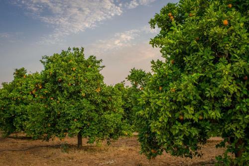 Terra Del Valle Bed & Breakfast