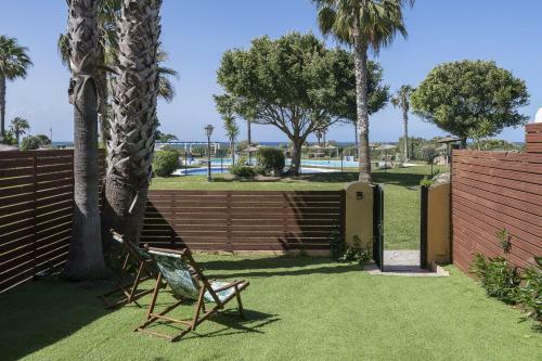 Zahara Dreams