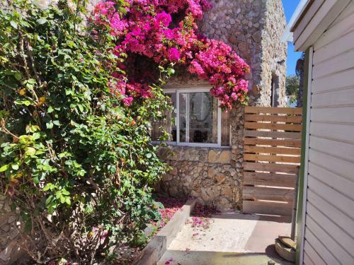 Apartamento La Casa de Piedra A Orillas Del Mar