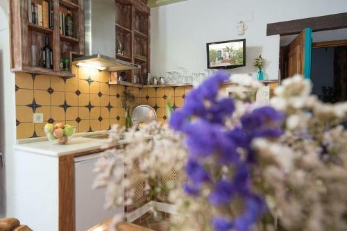 Apartamento Casa La Favorita