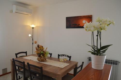 Apartment M&m