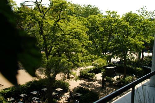 Treetop Apartment