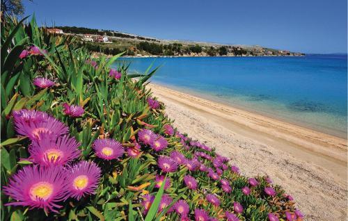 Apartment Put Benestre Croatia