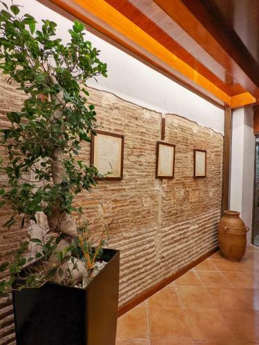 Hotel Catalina Suites