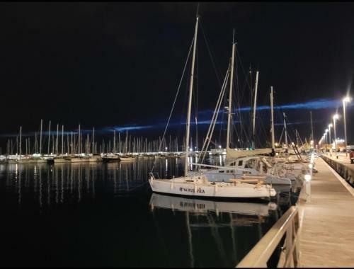 Beamar 2
