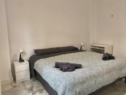 Hostal Central Bruno Valencia Apartments - Suite & Rooms - Downtown