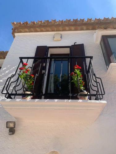 Cervantes 3 Mojacar Turre
