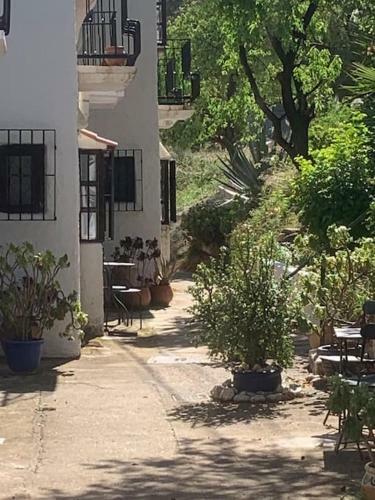 Cervantes 3 Mojacar Turre