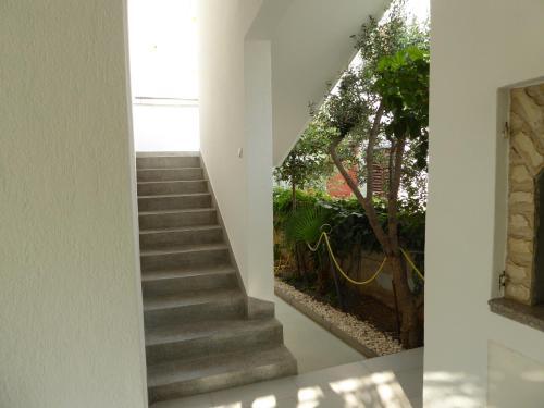 Apartments Bojanic