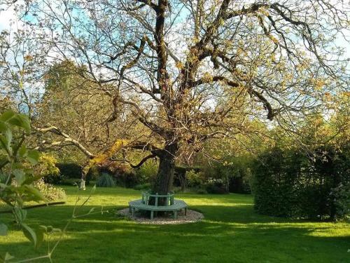 Bed & Breakfast La Grange Tranquille