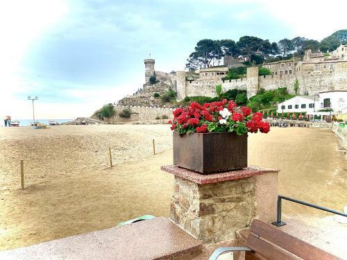 Tossa de Mar Amplio Apartamento Con Vistas Al Mar