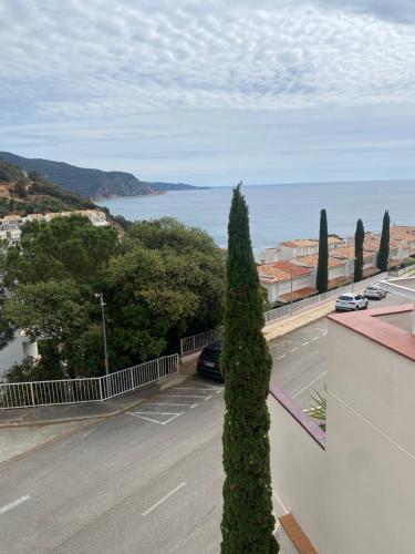 Tossa de Mar Amplio Apartamento Con Vistas Al Mar