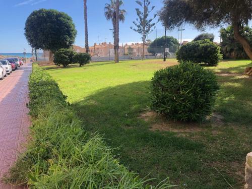 �mplio Apartamento Playa La Mata Torrevieja