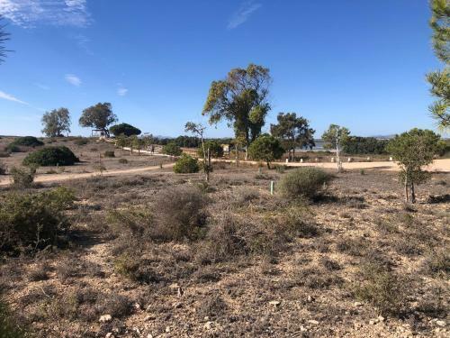 �mplio Apartamento Playa La Mata Torrevieja