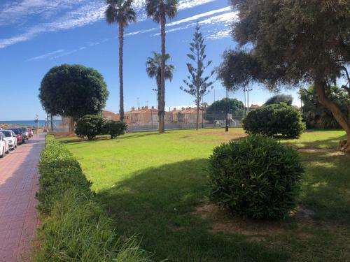 �mplio Apartamento Playa La Mata Torrevieja