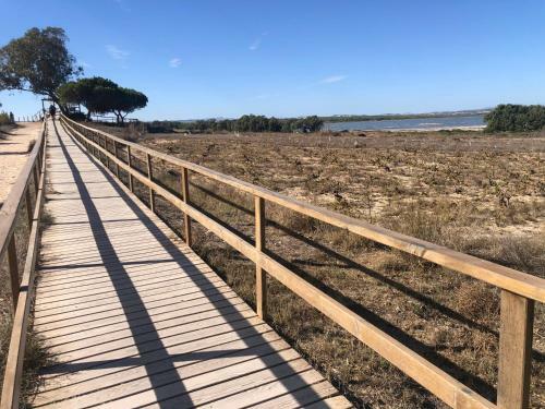 �mplio Apartamento Playa La Mata Torrevieja