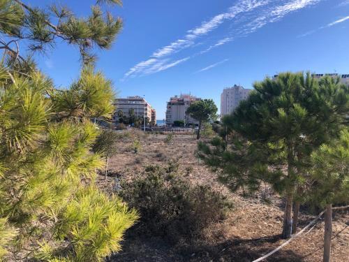 �mplio Apartamento Playa La Mata Torrevieja