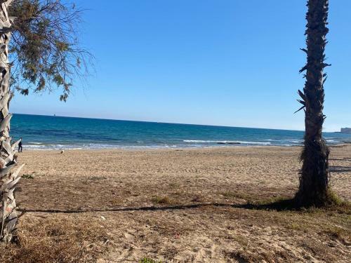 Apartment To 100m Of The Beach