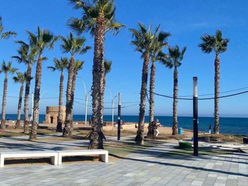 Apartment To 100m Of The Beach