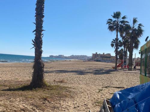 Apartment To 100m Of The Beach