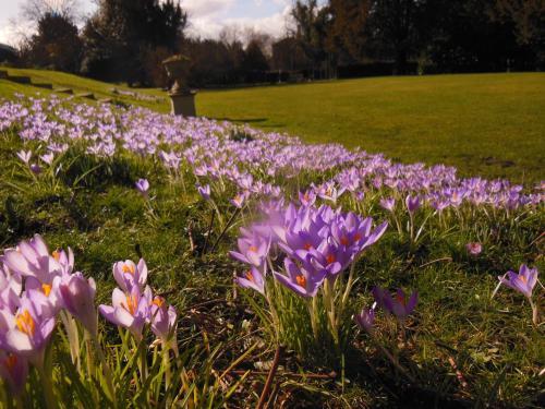 Bed & Breakfast Glebe House Muston
