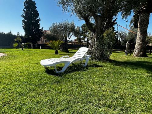 Sue�a Toledo