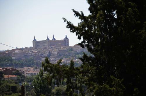 Sue�a Toledo