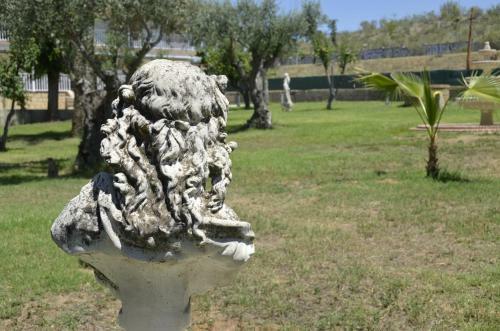 Sue�a Toledo