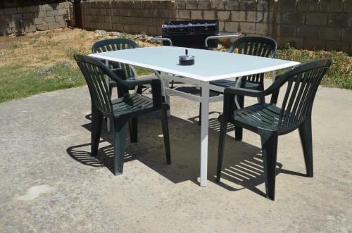 Sue�a Toledo