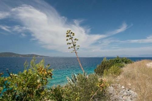 Hotel Illyrian Resort