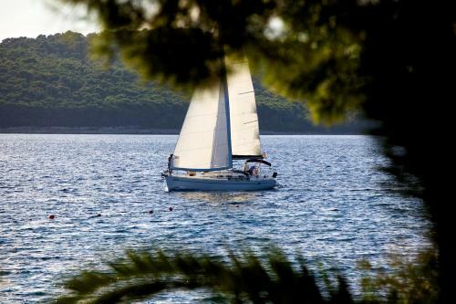 Hotel Illyrian Resort
