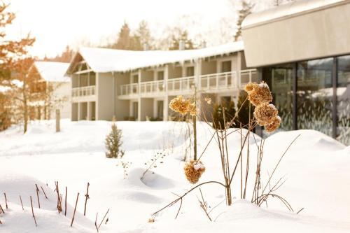 Amenity Hotel Lipno