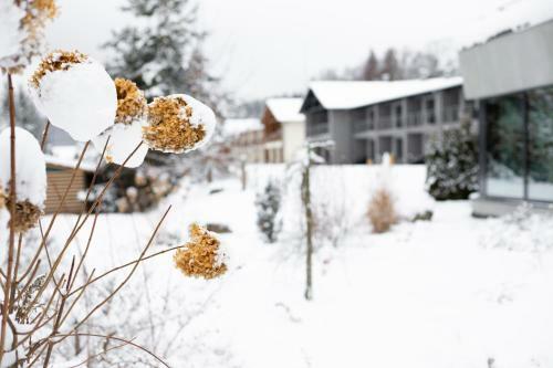 Amenity Hotel Lipno