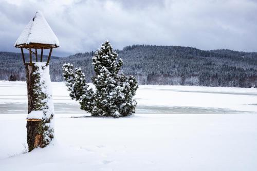 Amenity Hotel Lipno