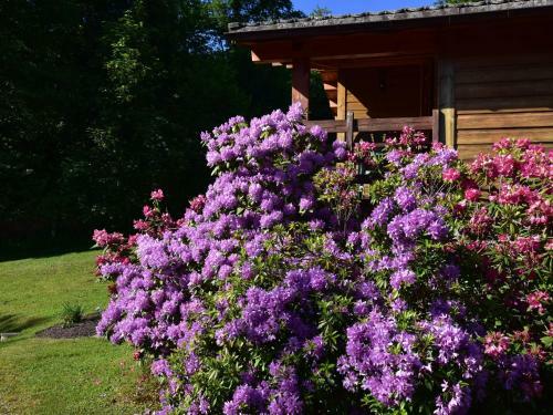 Holiday Home Claudel Thiefosse