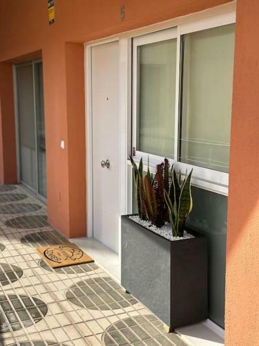 Apartamento Dalias Suite