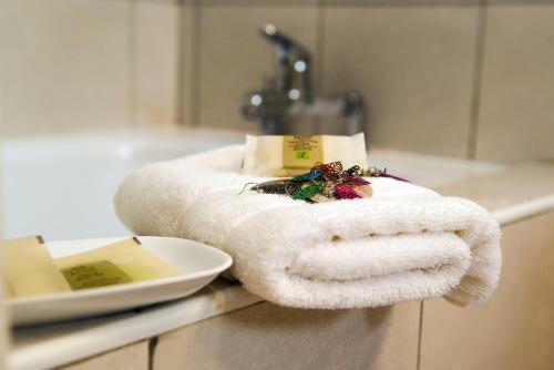 Hotel Logis Andreinia