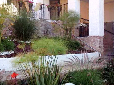 Villa Las Ranas