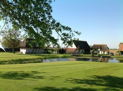 Sint-coryn