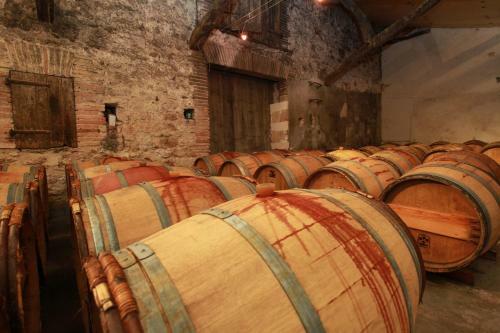 Bed & Breakfast Ch�teau De Mayragues