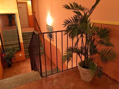 Hotel Du Vignoble