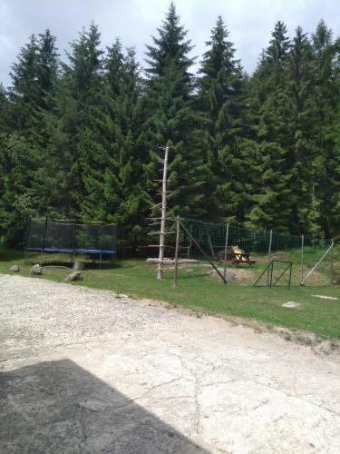 Hostal Penzion Borovice