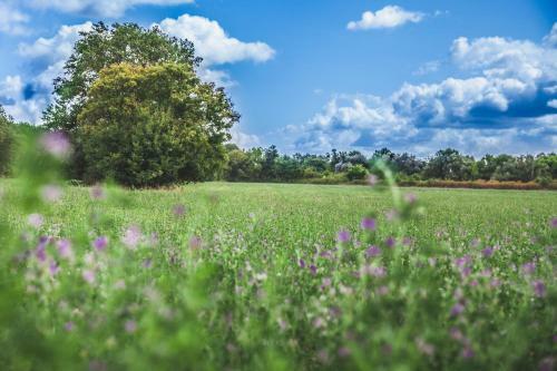 Bed & Breakfast Le Petit Nan�ay