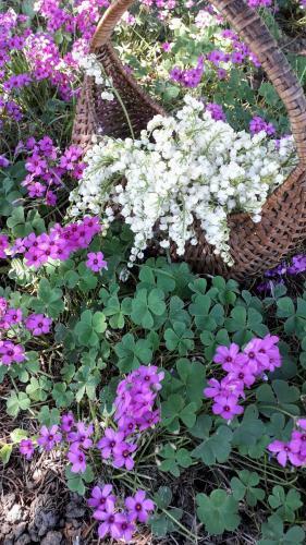 Bed & Breakfast La Chenaie