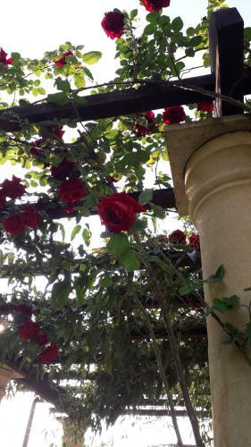 Bed & Breakfast La Chenaie