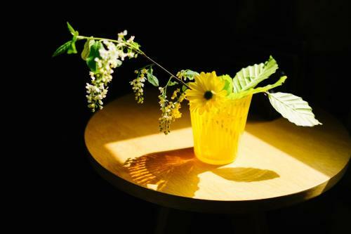 Hostal Elm House