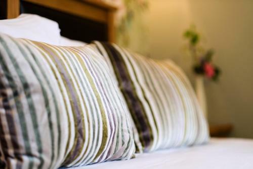 Hostal Elm House