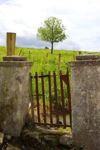 Apartamento Ardagh Suites Self Catering